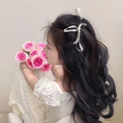 掟上今日子的备忘录 海报